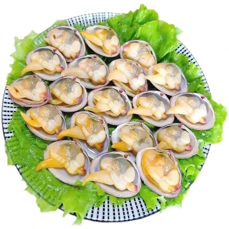 丹东黄蚬子鲜活90%无沙肥美饱满鲜甜运输过程略微掉称正常现象