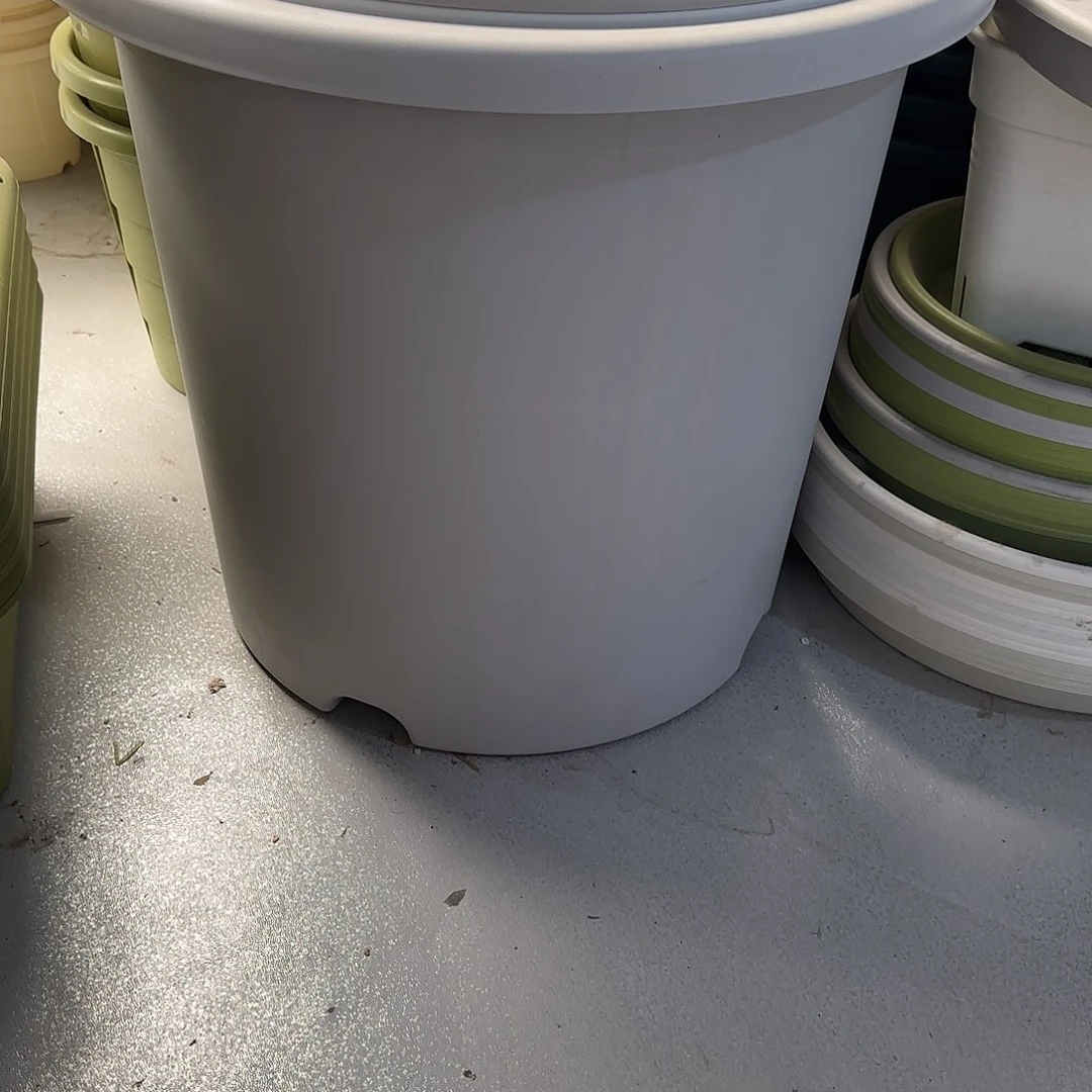 微瑕12号2个无托，灰白