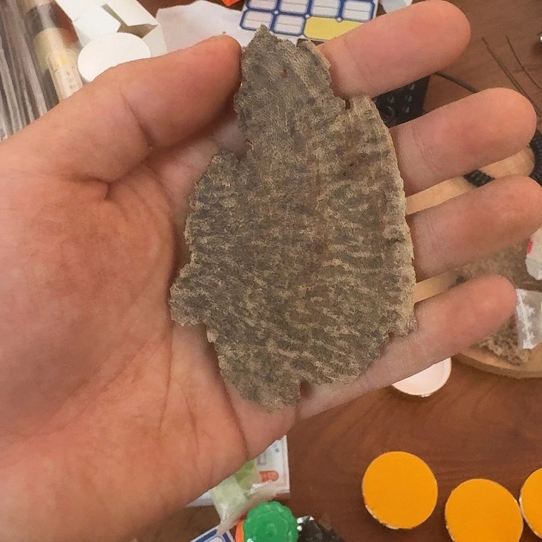 香料牧专属新人 越南4.6克铁头