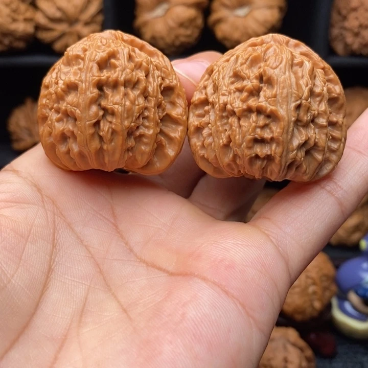 龙脊菩提吊坠40全品三角白