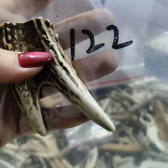 *****铁合金花岗石鹿角鹿角鹿角