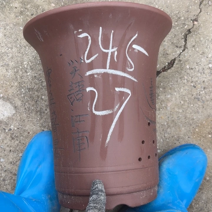 紫砂花盆紫砂的花