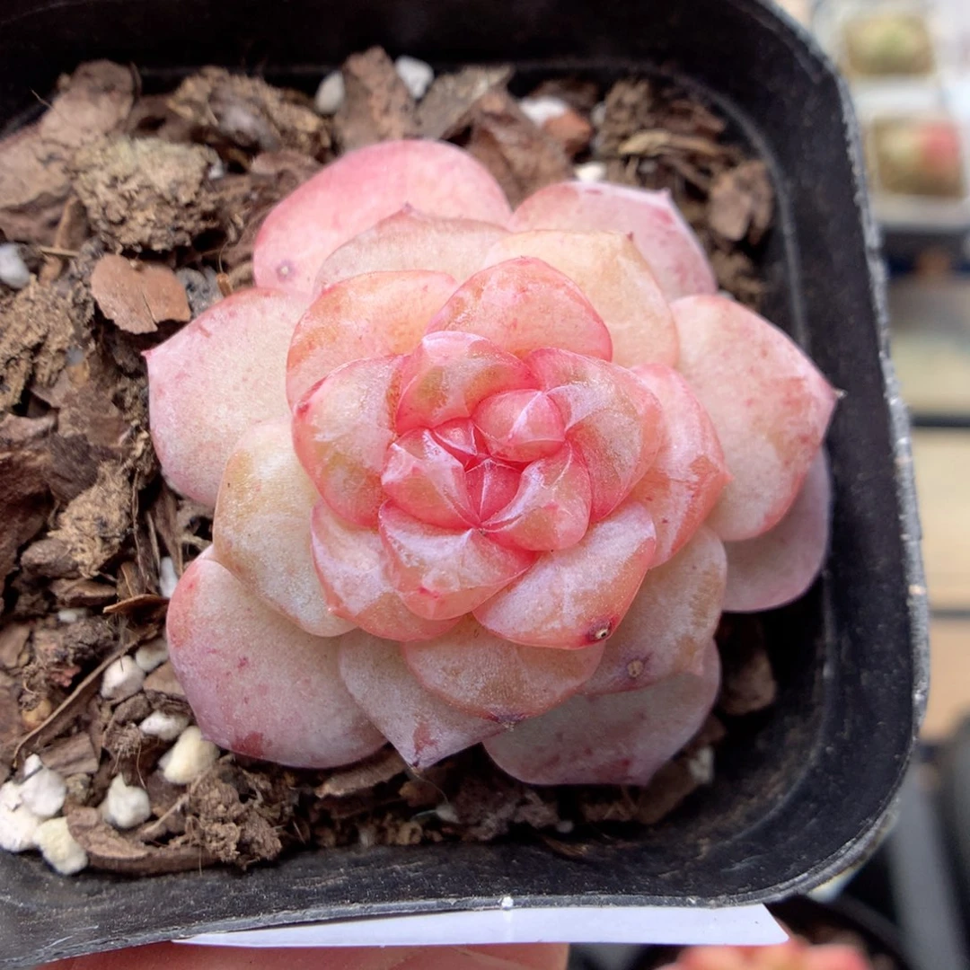 E134yy y y y y y y y