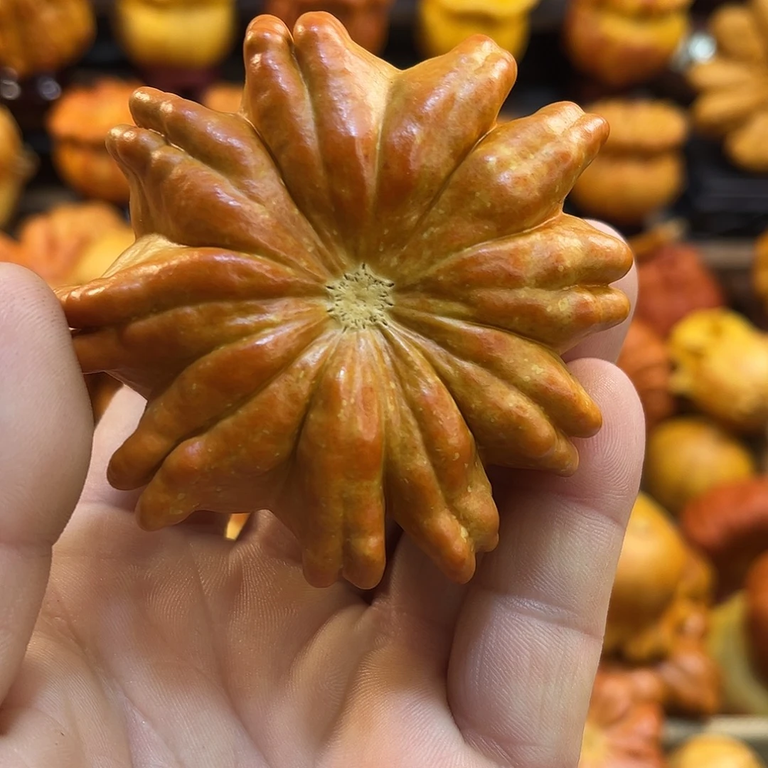墨西哥精品文玩葫芦