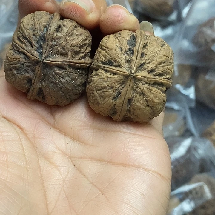 文玩核桃把件云南铁核桃基地85