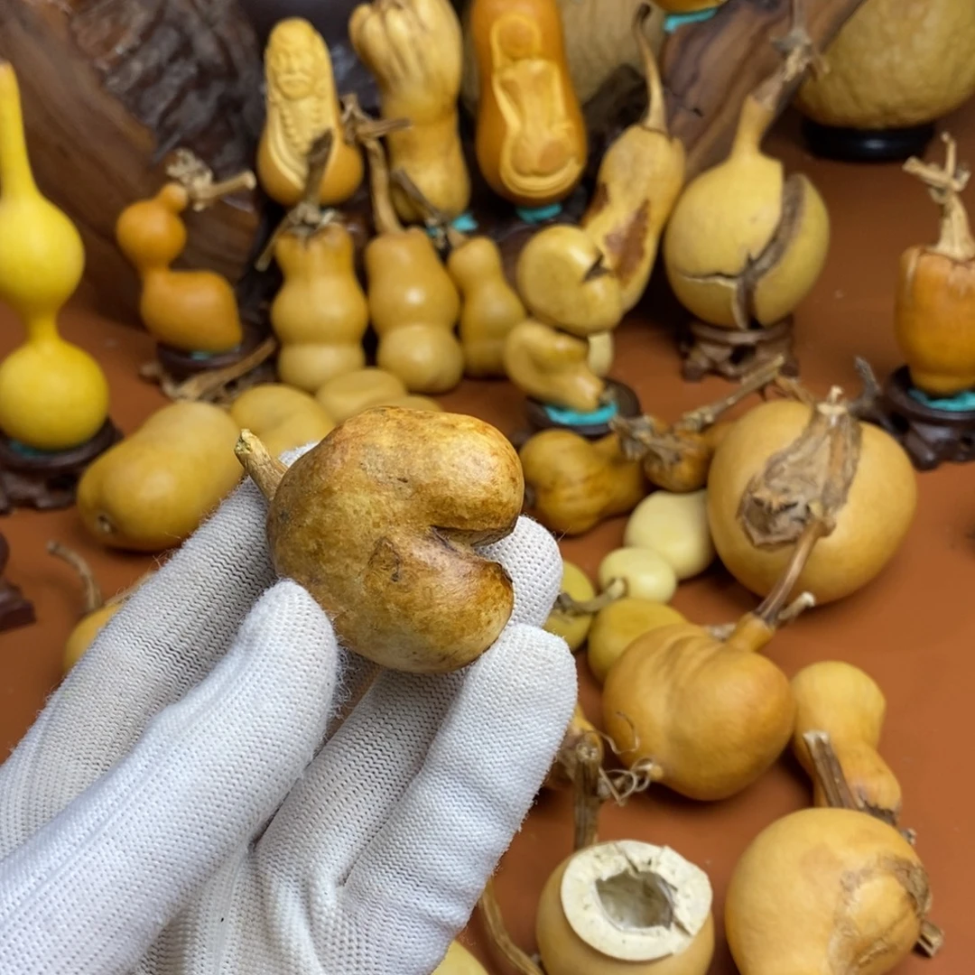 用***8啦啦教练咯教练咯教练