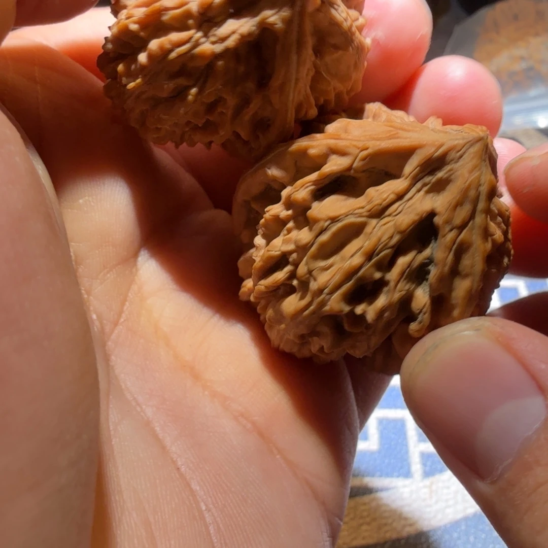 把件猴头核桃御龙正奔