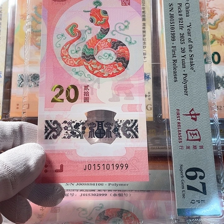 塑料015101999 龙年生肖钞