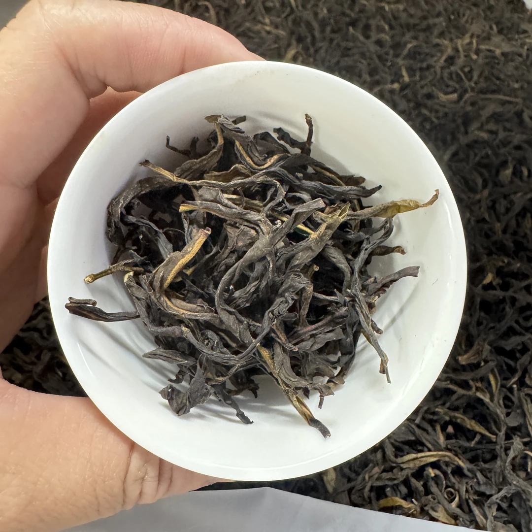 2025凤溪春茶大乌叶 花香明显 回甘好