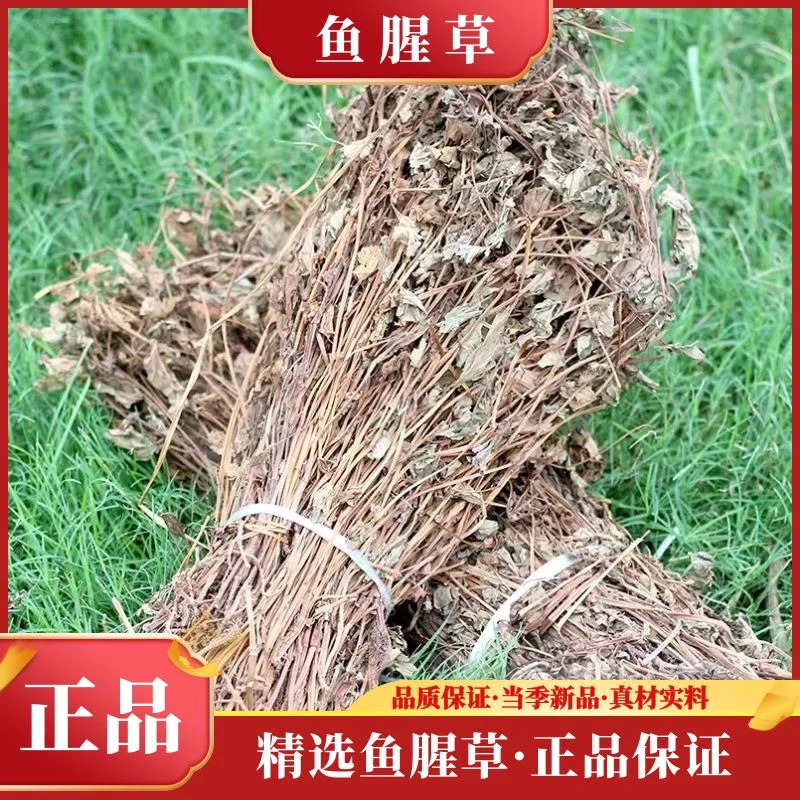 深山鱼腥草整株鱼腥草农家野生新货鱼腥草干货包邮泡水煮水食用