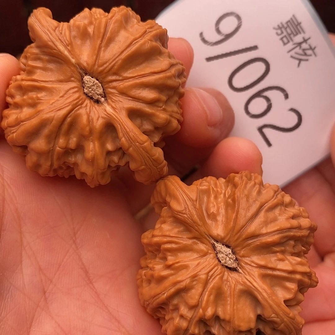 文玩核桃把件45白狮子