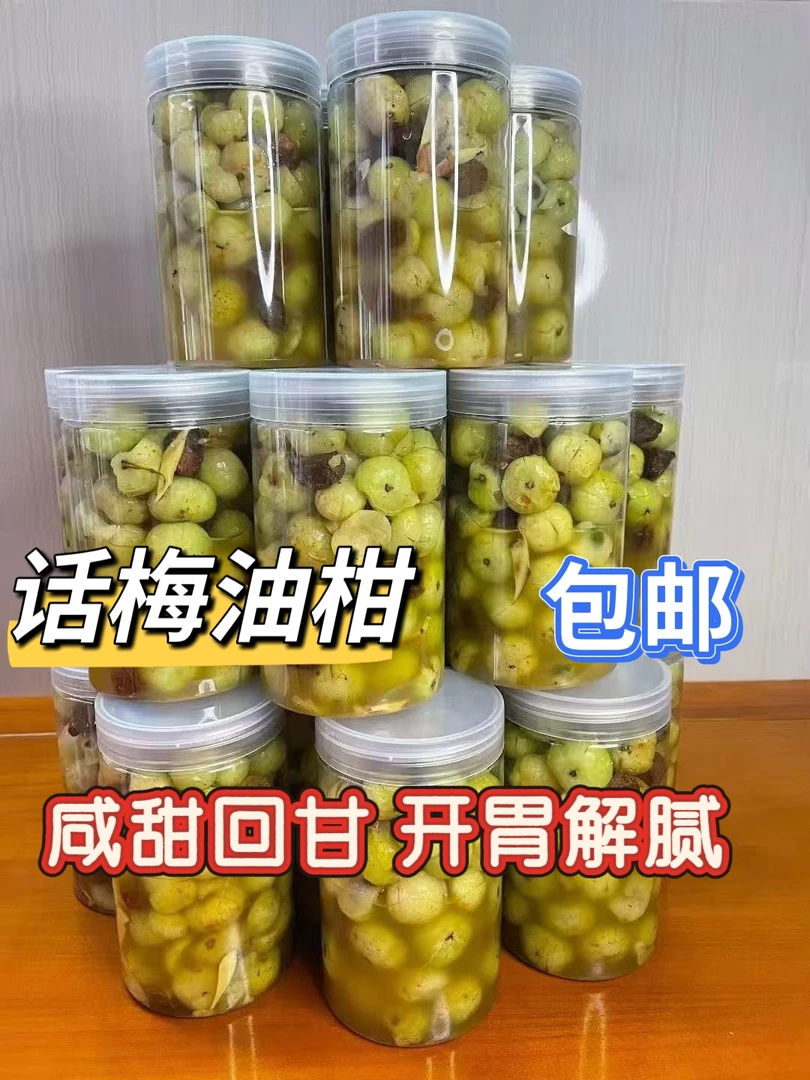 潮汕特产纯手工老冰糖话梅油柑腌制酸甜清脆可口孕妇解腻开胃零食
