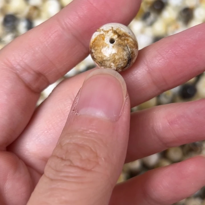 蜜蜡未镶嵌裸石13.8mm一个