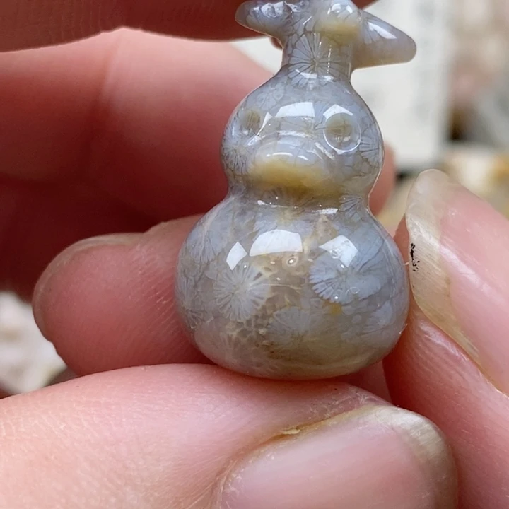 颈饰未镶嵌硅化珊瑚（珊瑚玉）小