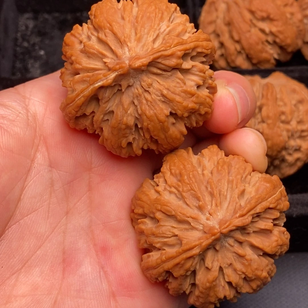 桃核把件秦岭野生核桃