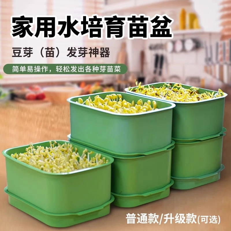 【家用豆芽育苗盆】育苗盘大号发芽神器水培种植盘育苗盒豆芽专用盆