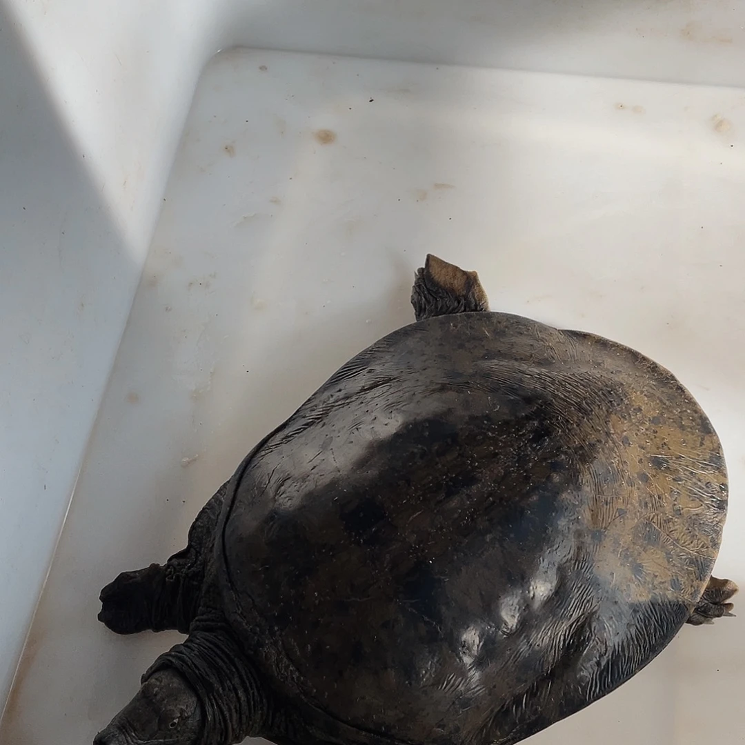 卫***林中国大陆46637446746755