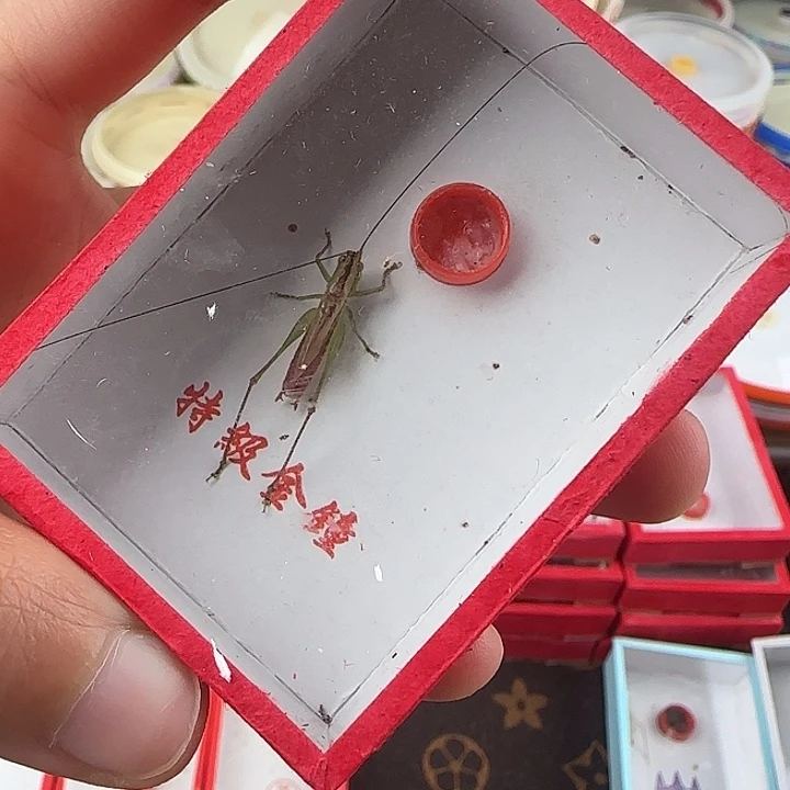 糖果长须一只包邮