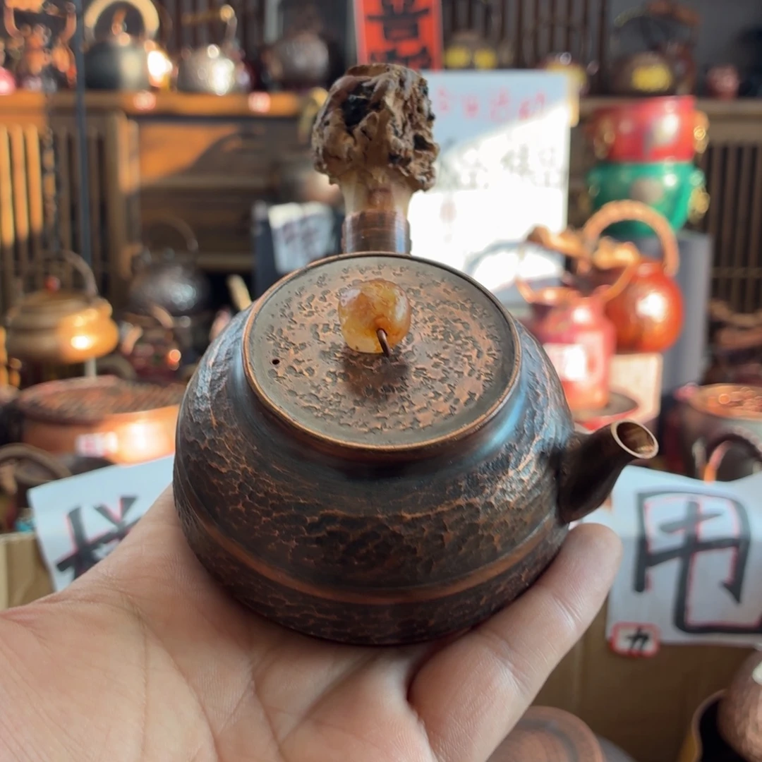 槲***生小侧把扁树瘤壶。