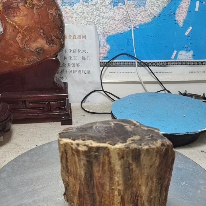 麦***子石材新疆奇台硅化木 木化石，树化石，树化玉。