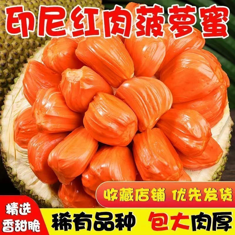 Y正宗印尼红肉波罗蜜当季新鲜水果水果皇后纯甜无酸QQ弹弹超好吃红肉菠萝蜜越南社会主义共和国