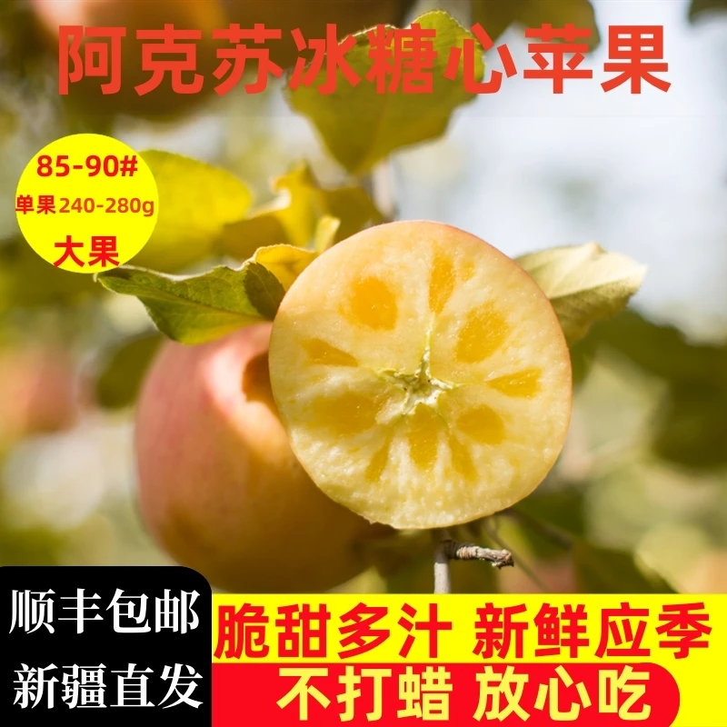 【硬货哥甄选】正宗阿克苏冰糖心苹果新疆顺丰直发新鲜应季9斤净重