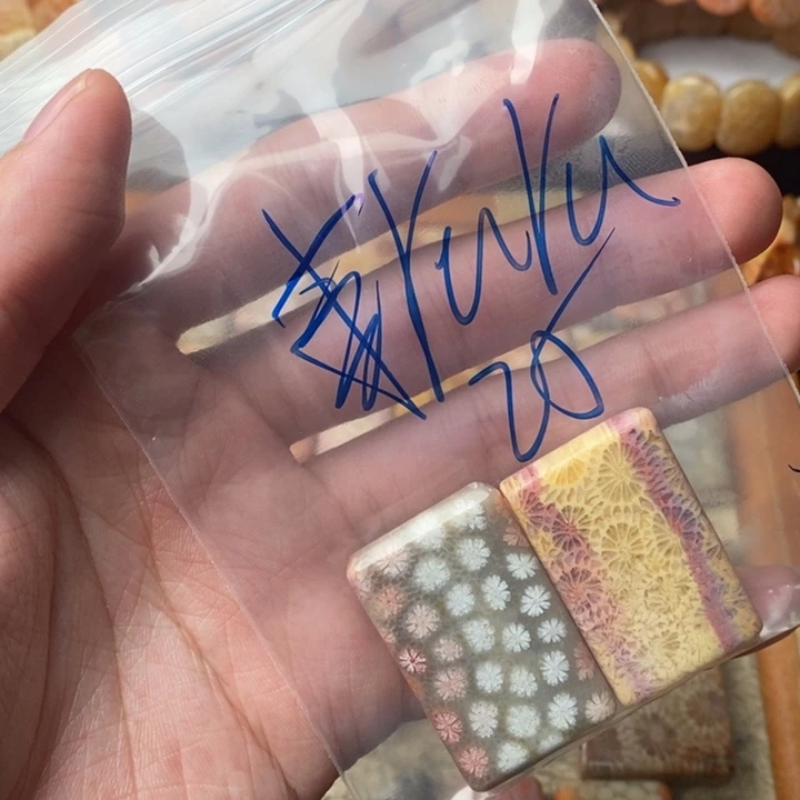 r***u颈饰未镶嵌硅化珊瑚（珊瑚玉）