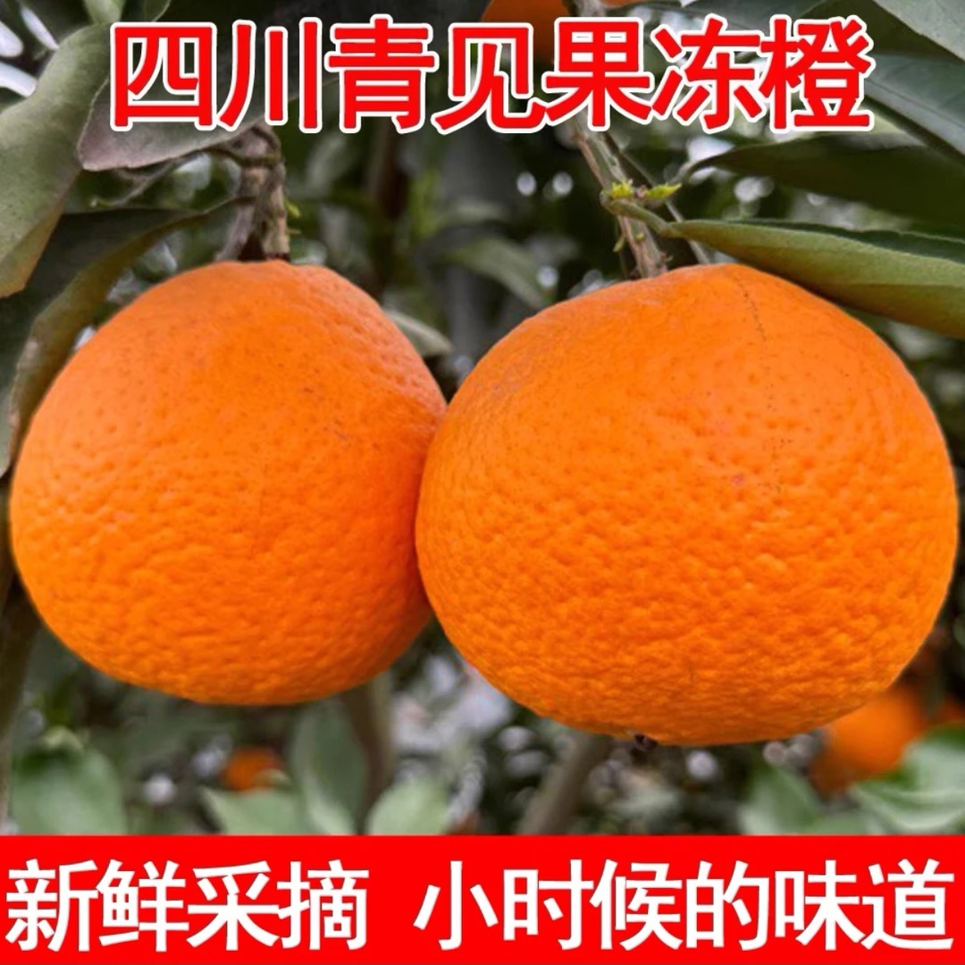 四川青见果冻橙果粒饱满应季橘子产地
