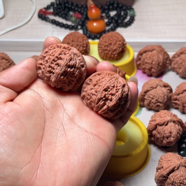 七***白白狮子白狮子白狮子