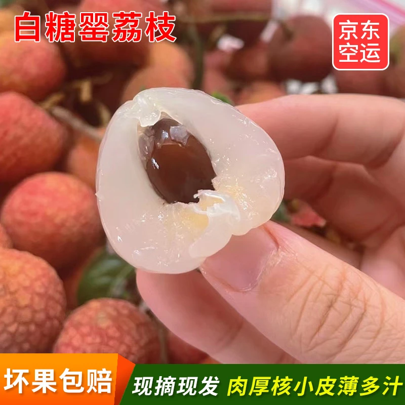 【东北专线空运到家】白糖罂荔枝现摘现发当季水果鲜甜爆汁空运到家