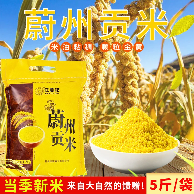 黄小米5斤/蔚州贡米非山西陕西内蒙古现磨农家新小米张家口特产