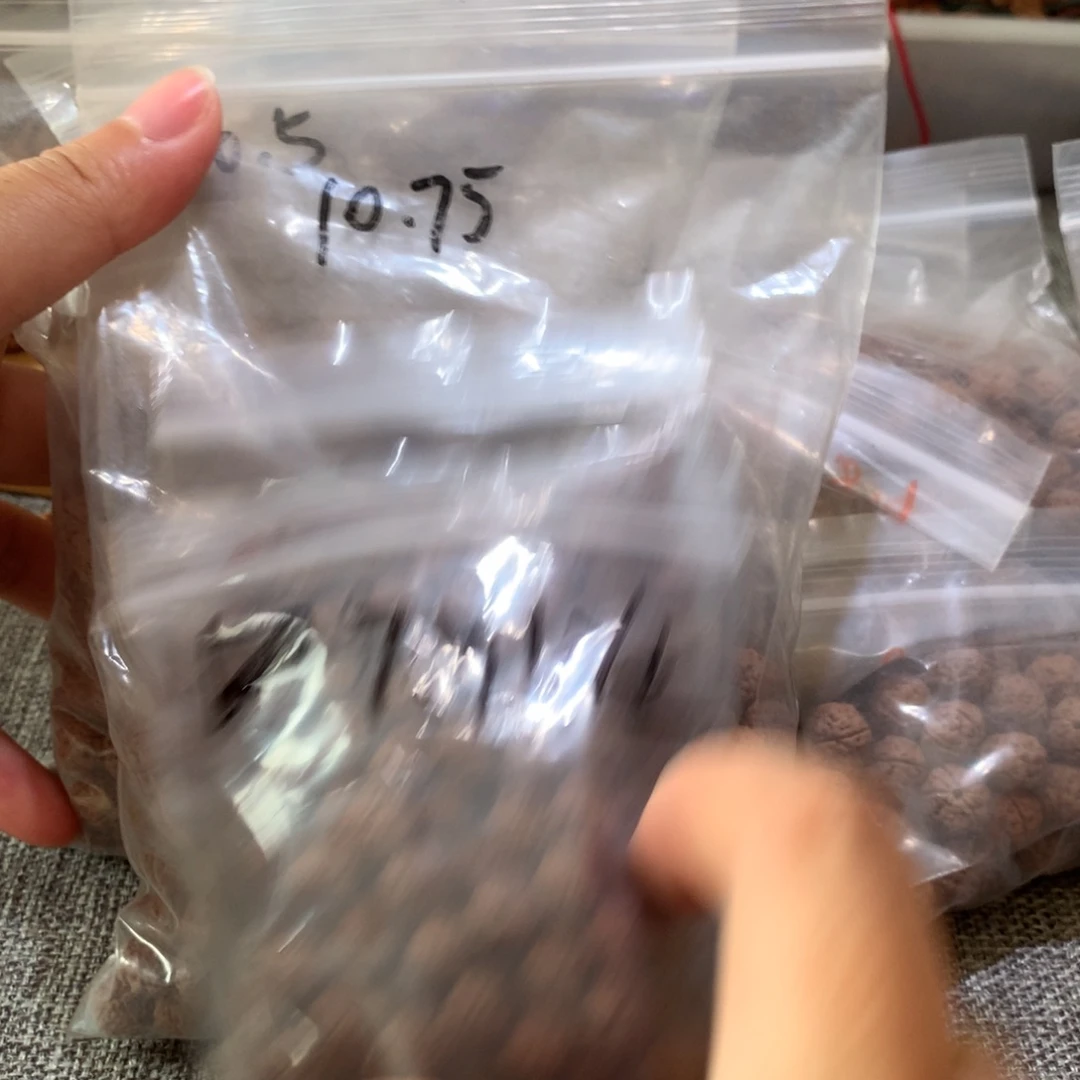 T***」金刚菩提吊坠老树王金刚菩提10尺寸
