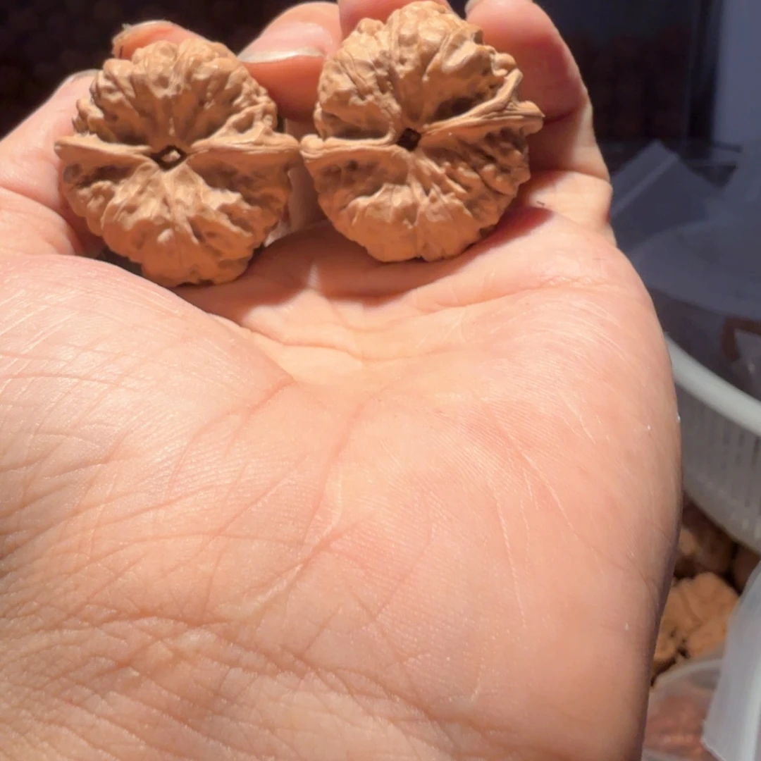 可***命文玩核桃把件蛤蟆