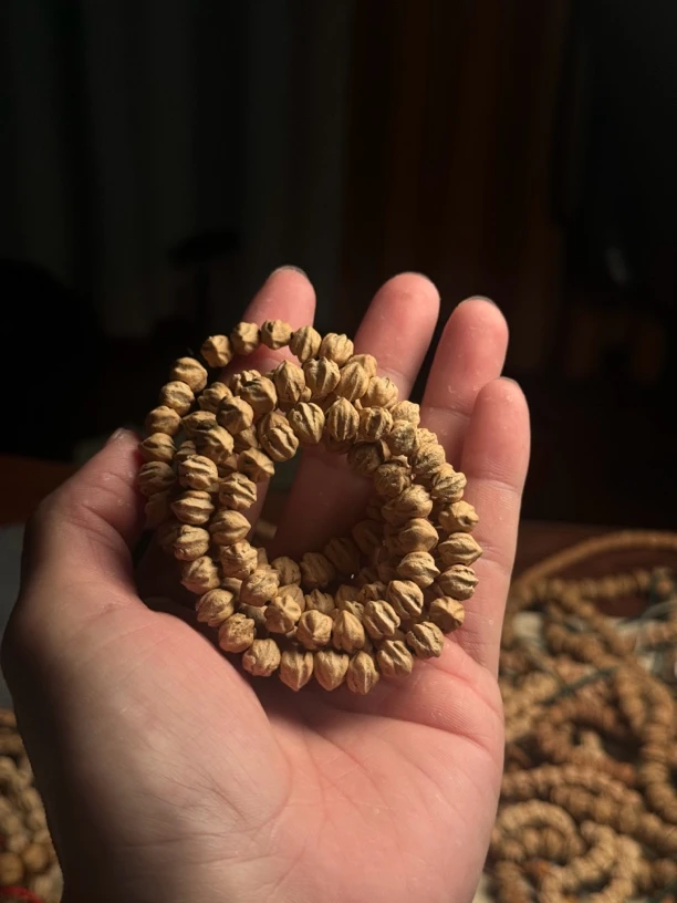 热振柏香籽白牙横打龅牙108