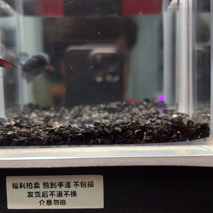 斗鱼一单包邮30日1