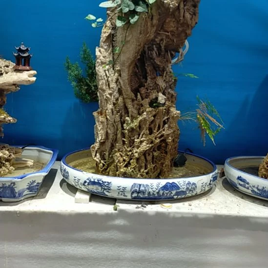 觀*山吸水石盆景假山
