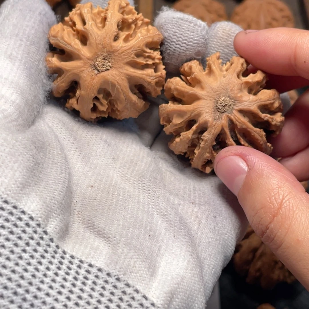 李****吊坠桃核8 秦岭灯笼野生小众