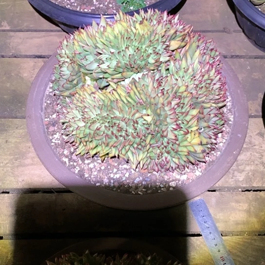 每周特价活动开始啦