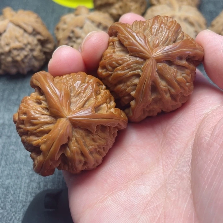 工艺三棱白狮子三棱