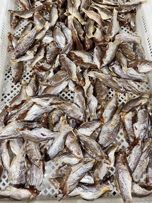 福建威隆海鲜咸午笋鱼鱼干农家自晒特色鱼干日晒发顺丰发货