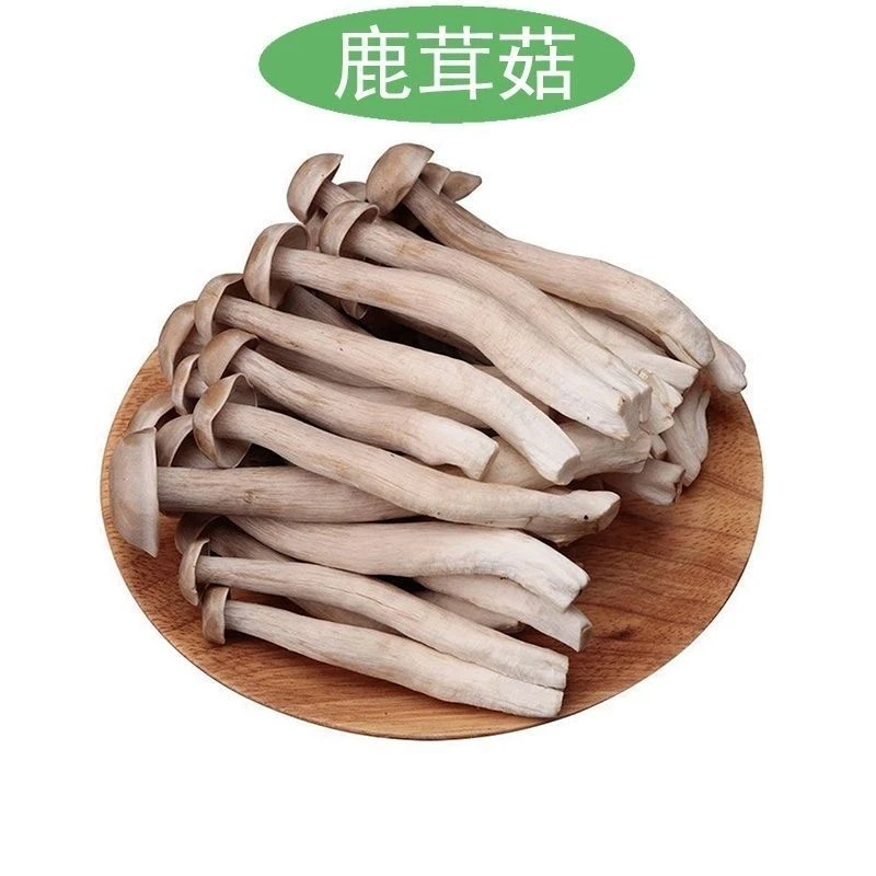 鹿茸菇新鲜采摘基地直发深山菌子