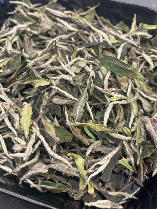 福鼎核心产区高山明前日晒一级花香白牡丹散茶耐泡十足清甜生津