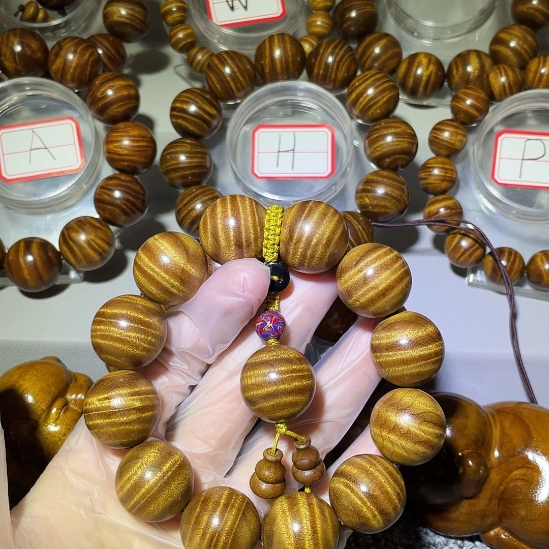 金丝楠小叶桢楠枯木2.0大西瓜