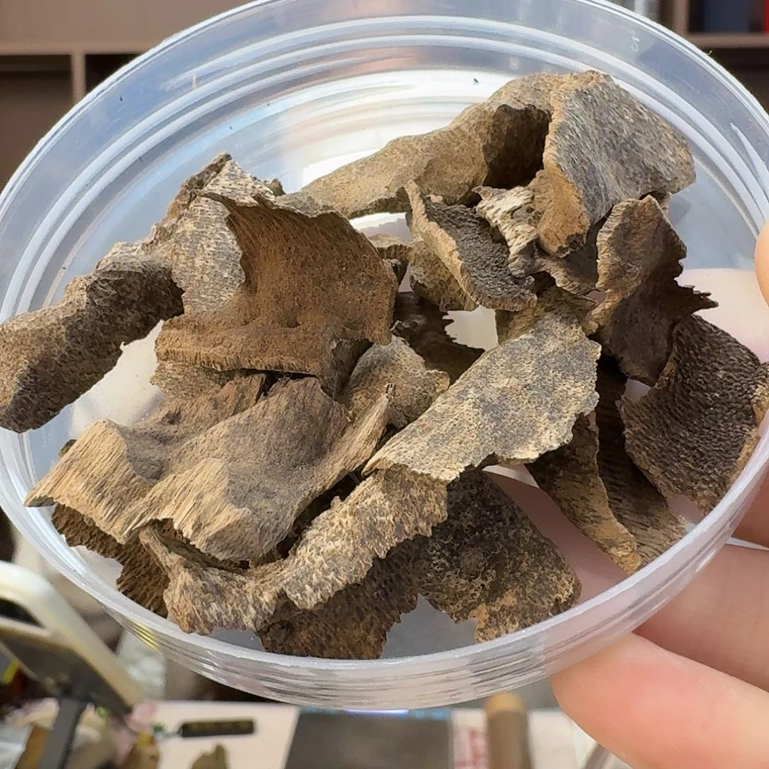 沉香沉香碎屑6号海南鸡母虫原材料10克