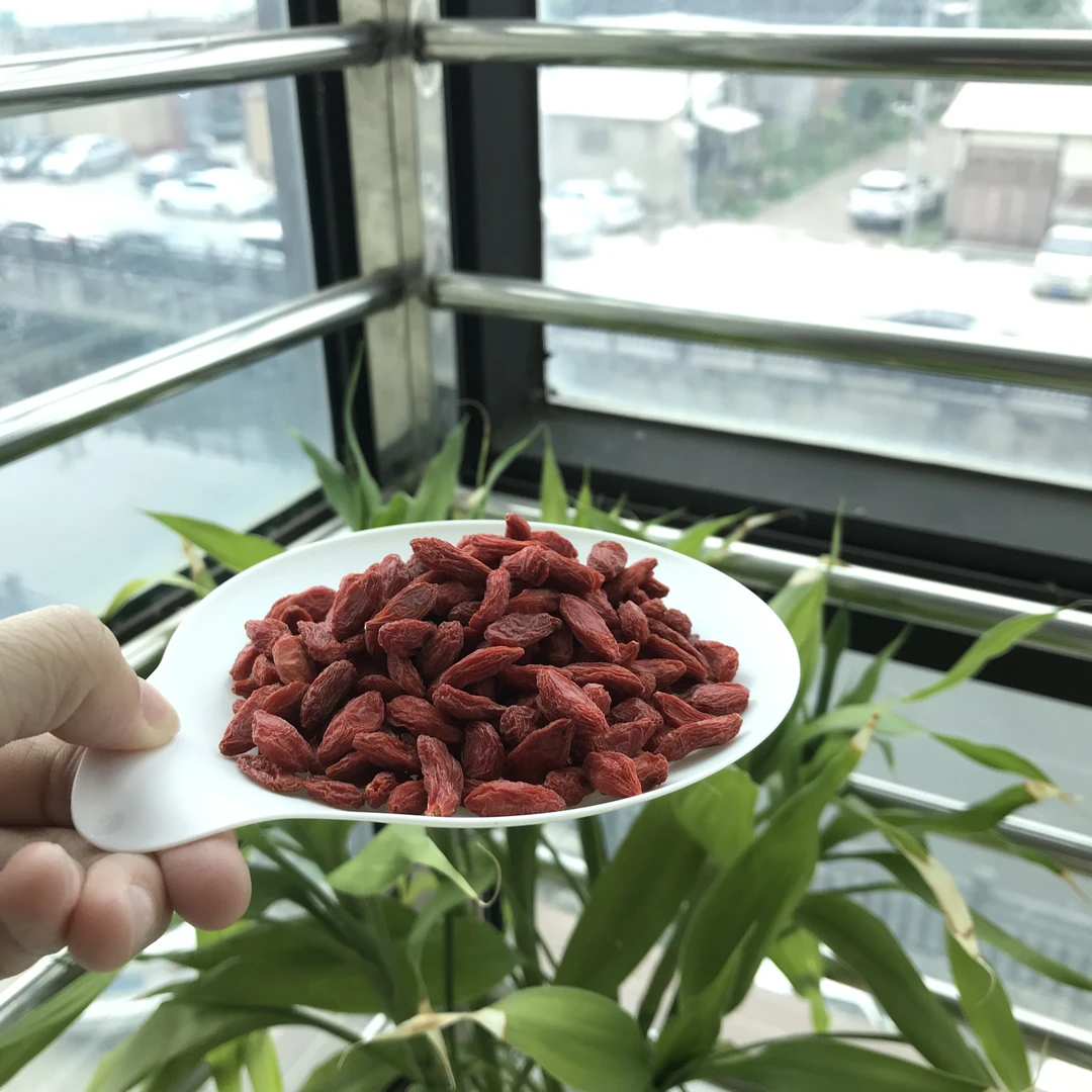 枸杞250克宁夏中宁头茬枸杞子可泡水煲汤