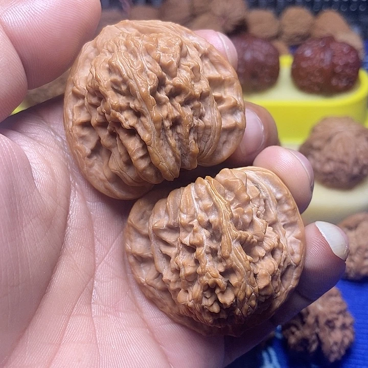 45尺三角四座楼福利