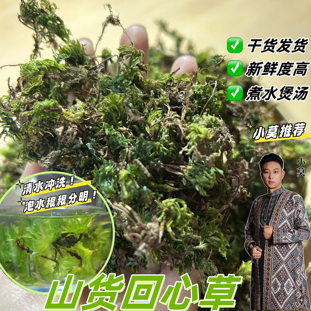 【山货回心草】100g 新鲜度高，可煮水喝  皂角米*