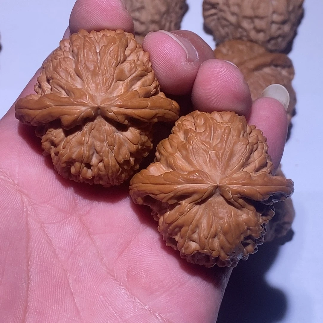 把件文玩核桃那**头白狮子