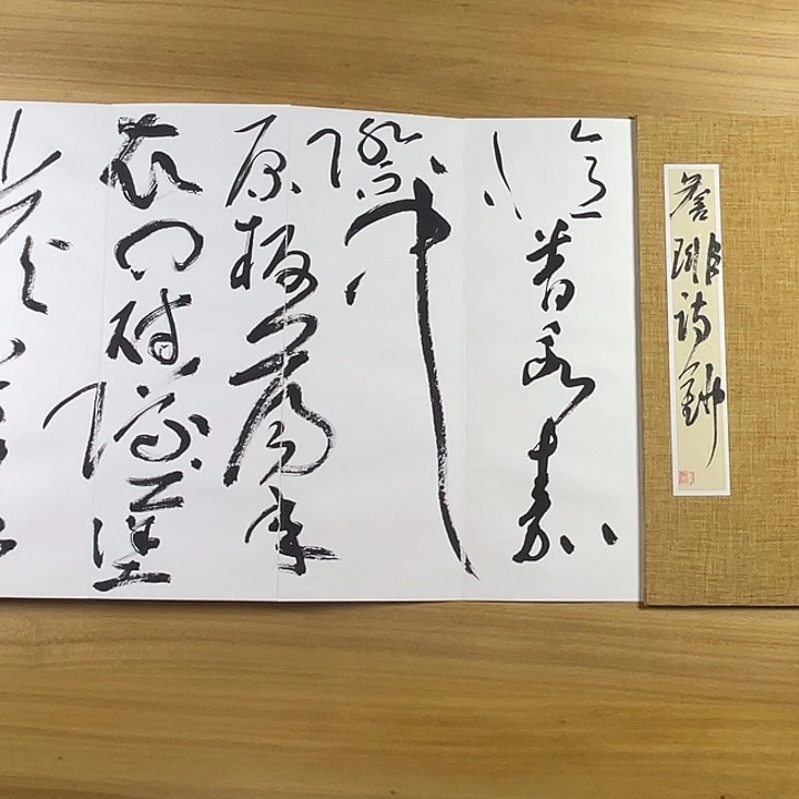 书法中书协老师书法作品