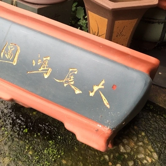 紫砂花盆宜兴紫砂花盆厂家直销